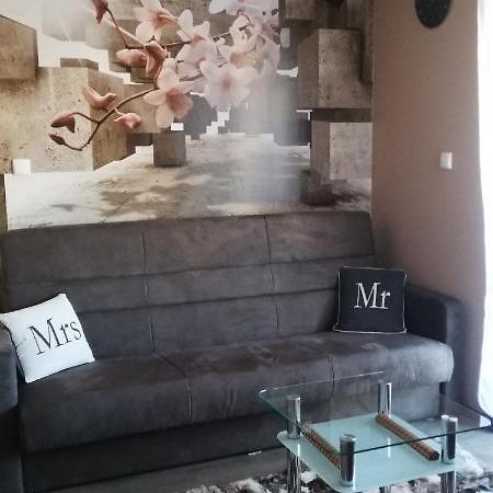 Comfortstudio Zakopane Esterno foto